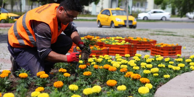 Yenimahalle’ye 300 bin çiçek 