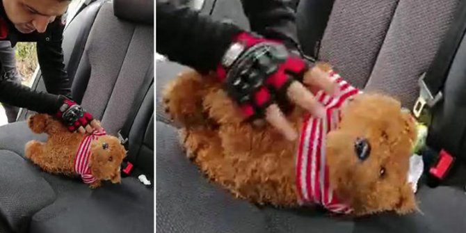 Oyuncak ayıdan çıktı: Şaşırtan olay