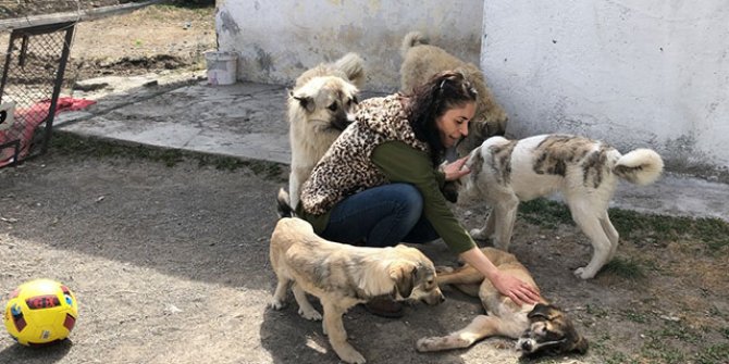 Engelli sokak hayvanları için ev açtı