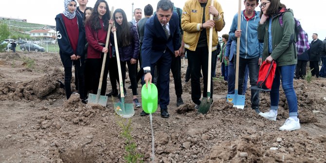 Sanatçıya vefa ormanı