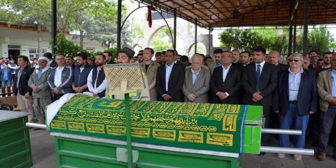 Trafik canavarı koparıp aldı