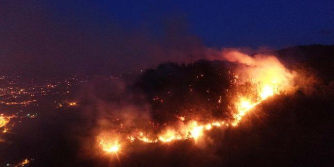 Giresun'da orman yangını