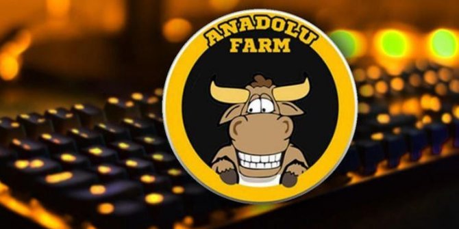 Anadolu Farm'a yatırılan paralarla ile bakın neler almışlar