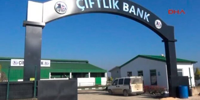 Çiftlik Bank davasında ilk duruşma yarın