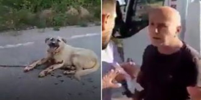 Adana'da insanlık dışı olay: Tavuklara zar veriyor diye köpeğe bakın ne yaptı