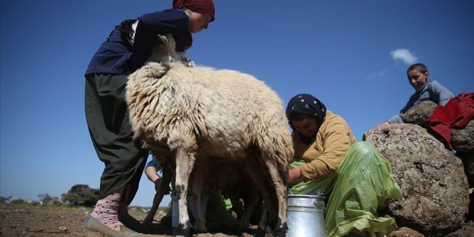 Göçerlerin zorlu mesaisi oruca engel olmuyor