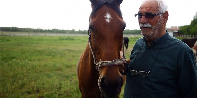 Şampiyon atların yarım asırlık seyisi: Hacı İpek