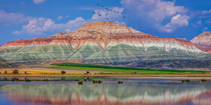 Foto Safari Nallıhan’da