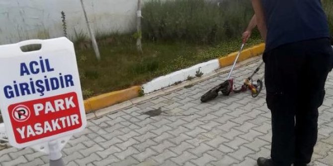Hastane bahçesindeki yılan korkuttu