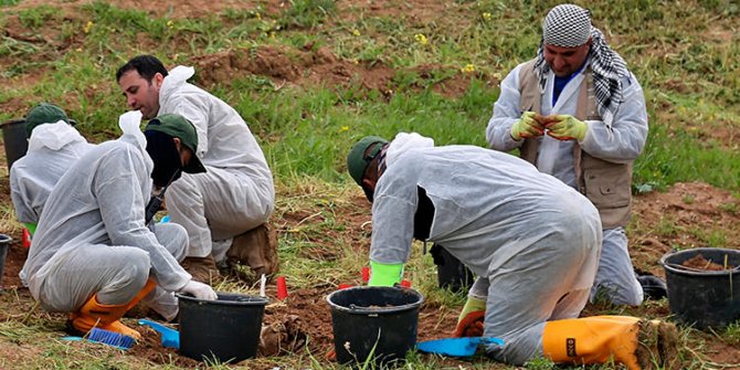 Türkiye'de destek verdi: Kazdıkça çıkıyor