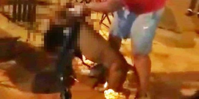 Pitbull'un saldırdığı kedi ağır yaralandı