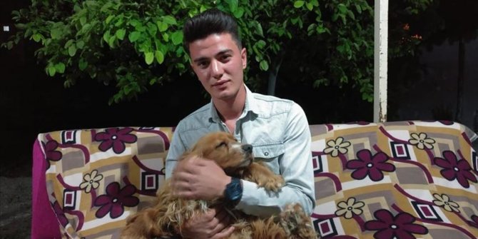 Otomobilin çarptığı köpeğini kalp masajı ile hayata döndürdü