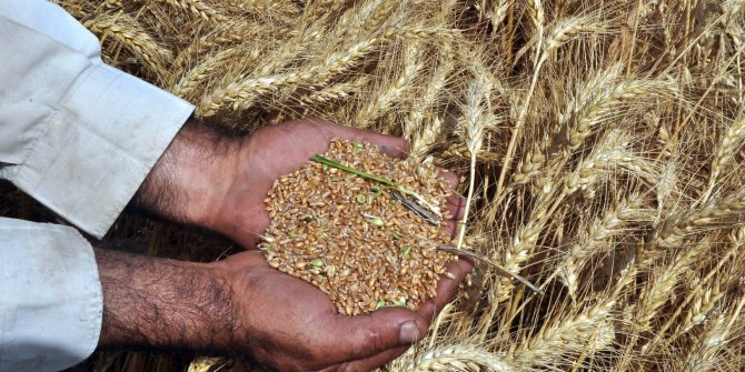 Türkiye tarım alanlarının yüzde 8,3’ünü kaybetti