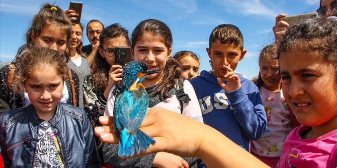 Öğrenciler kuş bilimini belgeselden değil doğada öğreniyor