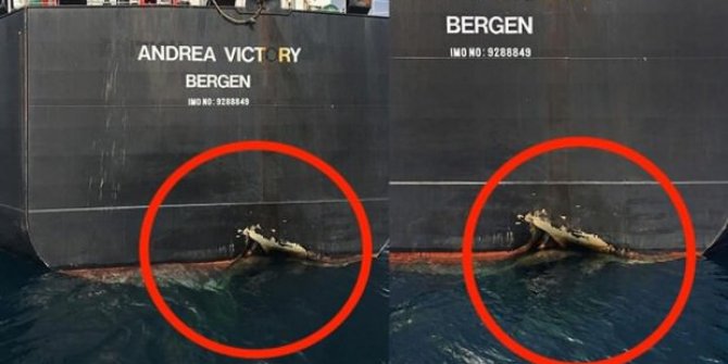 BAE, Suudi Arabistan ve Norveç'ten ortalığı karıştıracak açıklama