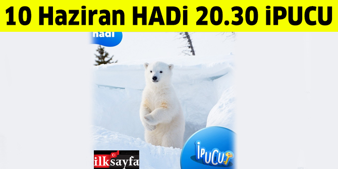 10 Haziran 20.30 HADİ ipucu: Kutup ayıları nerede yaşar?