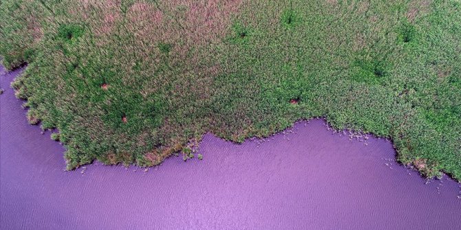 İğneada Longoz Ormanları'nda görsel şölen