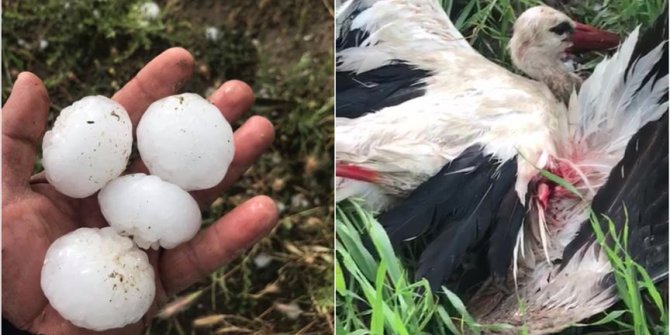 Gölbaşı'nda ceviz büyüklüğünde yağan dolu yaşamı olumsuz etkiledi