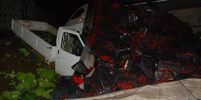 Tokat'ta kiraz yüklü kamyon devridli
