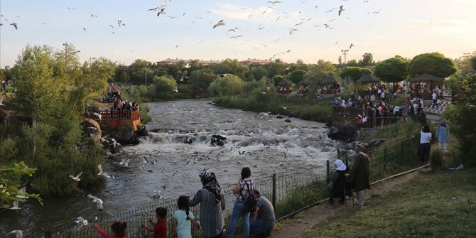 'Doğunun incisi' Van turistleri cezbediyor