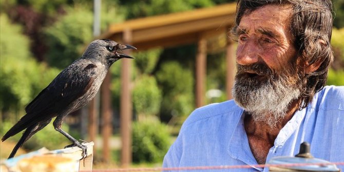 Çay tezgahında 'karga'yla servis ilgi odağı oldu