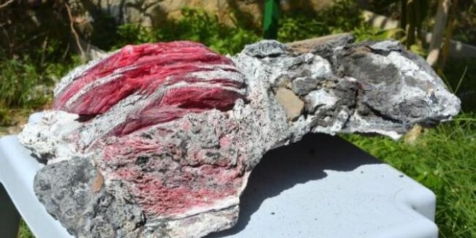 Sırrı çözülemedi
