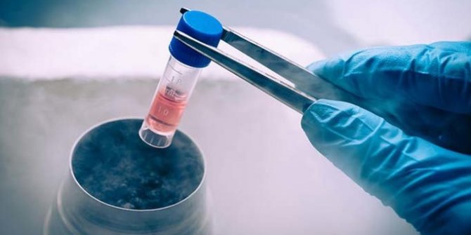Türk Profesör yaptı, bilim dünyası ayakta alkışladı