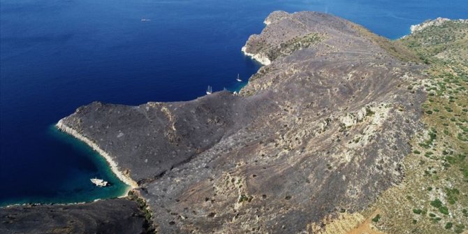 Muğla'daki yangında 5 hektar alan zarar gördü
