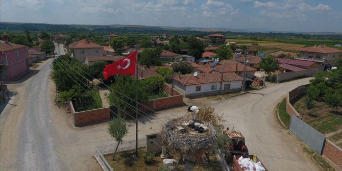 Leylek yavruları uçuşa hazırlanıyor