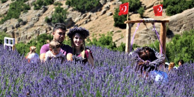 Lavanta bahçelerinde yoğunluk yaşandı