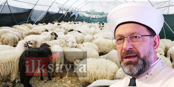 2019 Vekaletle Kurban Kesim Fiyatları açıklandı!