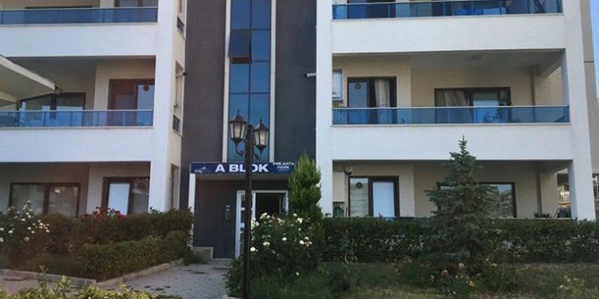 Bursa'da cani baba dehşet saçtı
