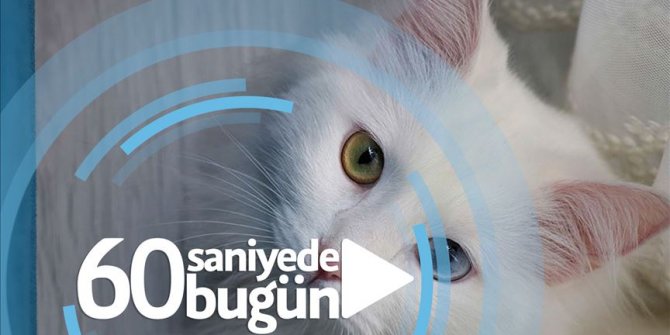 60 saniyede bugün (04 Temmuz 2019)