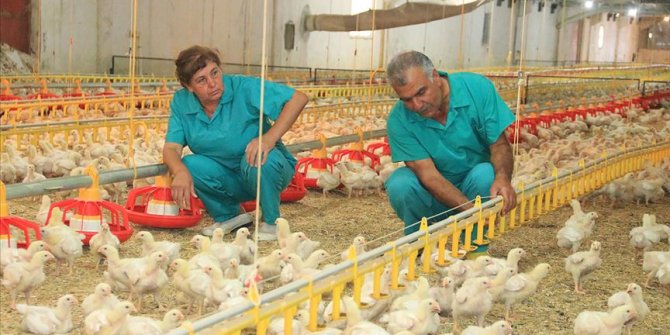 İkinci baharlarında devlet desteğiyle işletmeci oldular