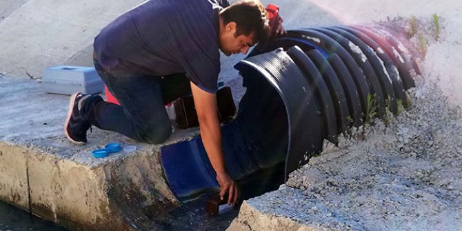 Tekirdağ'da tedirgin eden görüntü