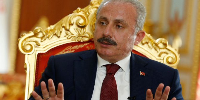 TBMM Başkanı Şentop: FETÖ ile uluslararası mücadele şart