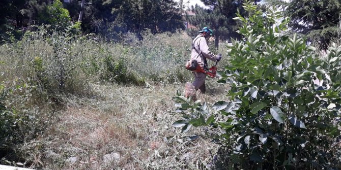 Çubuk'ta yabani ot temizliği