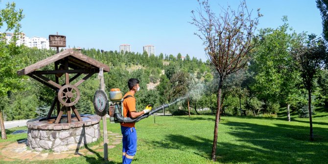 Altındağ Belediyesi, Altınköy Açık Hava Müzesi'ni ilaçladı