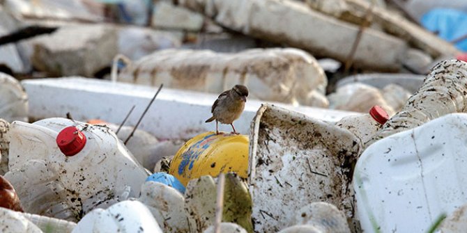 Tek kullanımlık plastiklerin yasaklanması için 200 bine yakın imza