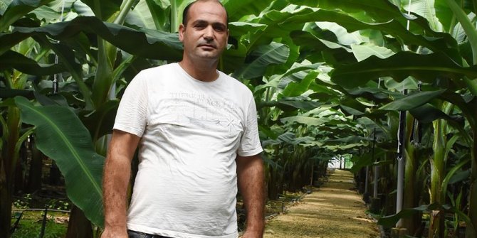 İnşaat sektörüne yatırıma gelen Ürdünlü iş adamı muz üreticisi oldu