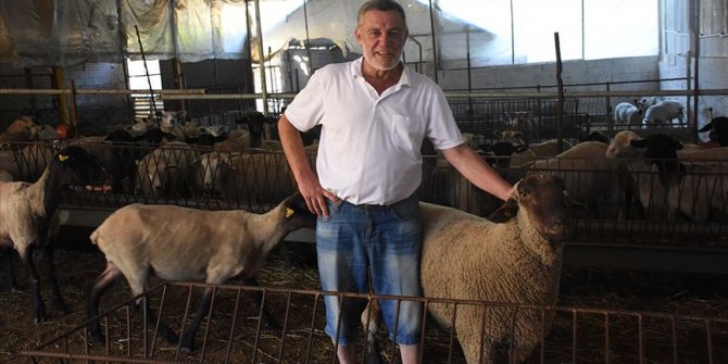 Müteahhitliği bırakıp doğal yaşam için köye döndü