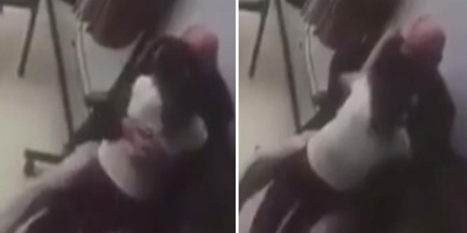 Nevşehir'de iğrenç olay! Görüntüler incelenince ortaya çıktı
