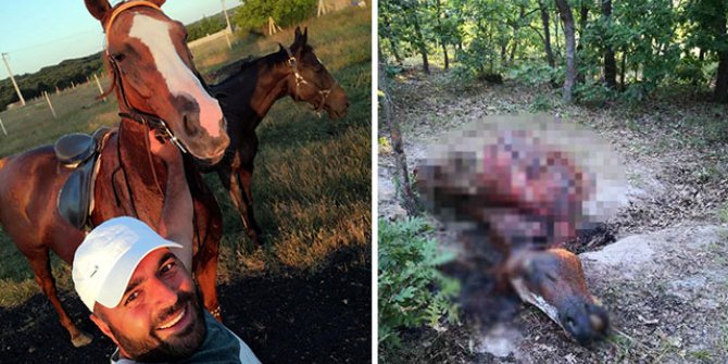 'Bunu yapanlar insan olamaz'