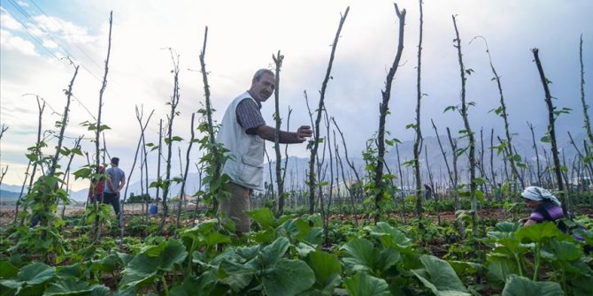 Bahçeye dönüştürülen atıl arazi geçim kaynakları olacak