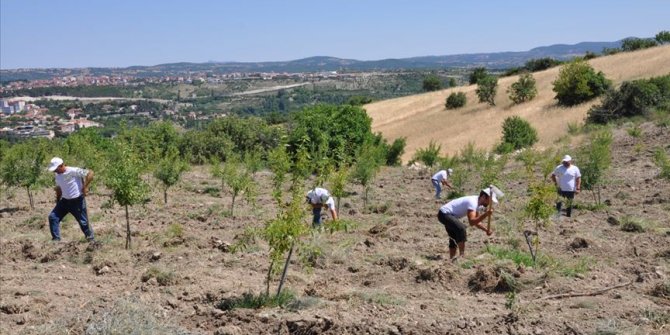'Ekolojik Hayat Çiftliği'nde organik tarımı öğreniyorlar