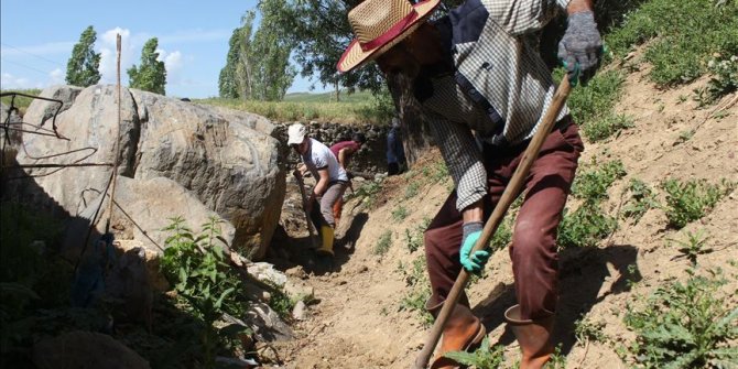 Hayvanları için her yıl 169 yıllık su kanalını temizliyorlar