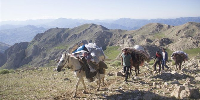 Göçerlerin atlarla zorlu yayla yolculuğu