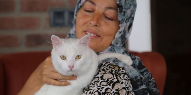 Felçli kedi, Hülya öğretmen sayesinde hayata tutundu