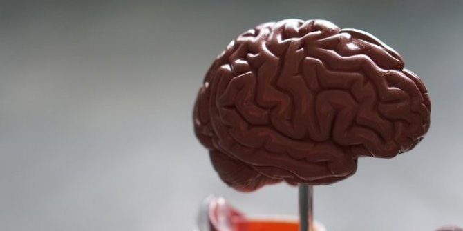 Dünyanın en kısa IQ testi!