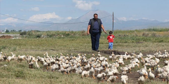 Pazardan aldığı tavukla çiftlik kurdu
